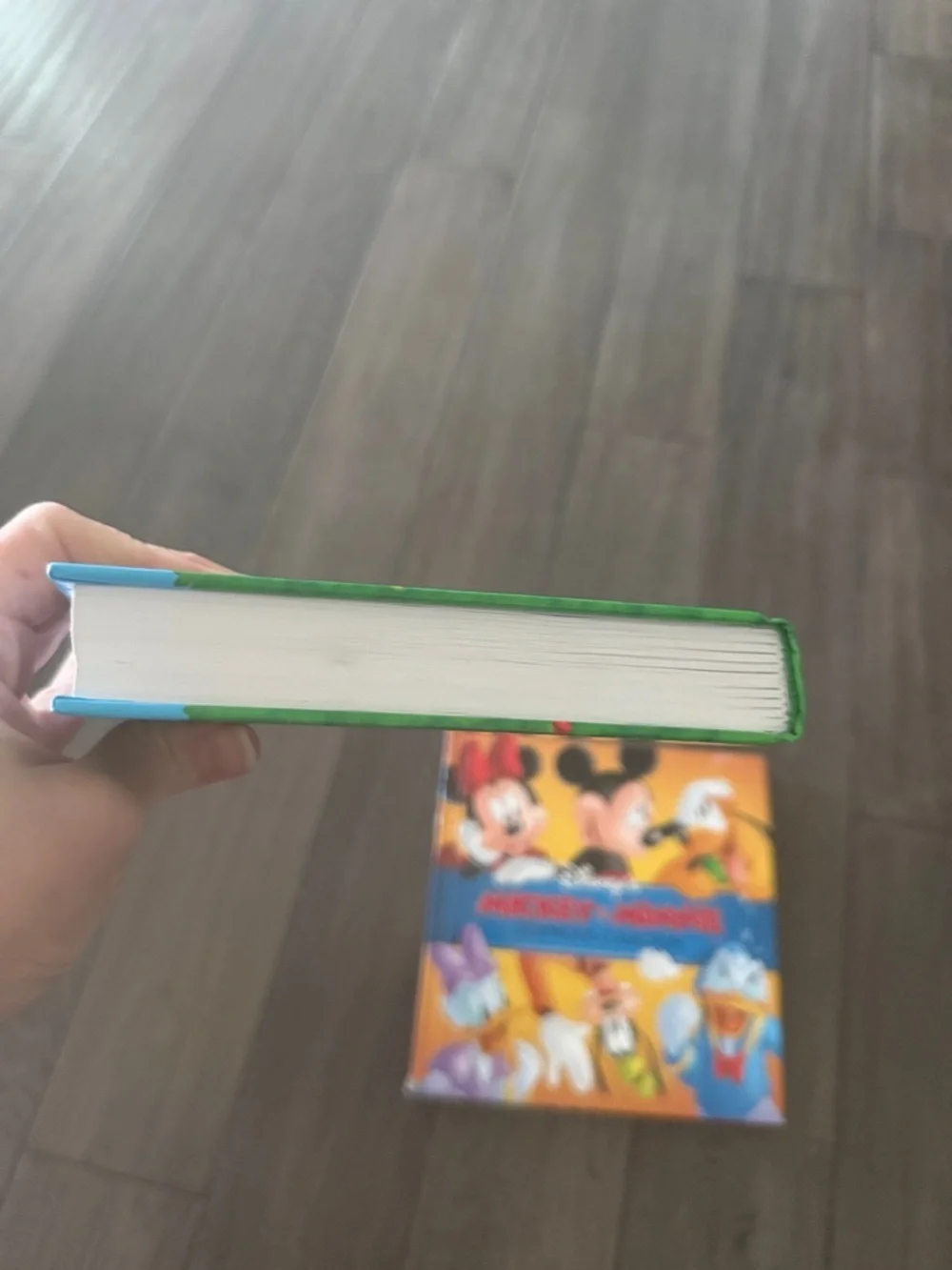 Bundle Disney Mickey & Minnie Storybook Collection and beginners Bible Kids Book